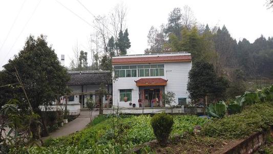 四川：乡镇治理现代化开展试点示范 选50个乡镇