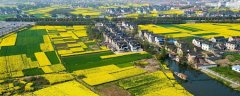 辽宁省农村集体产权制度改革基本完成