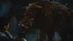 揭秘百慕大食人怪猪