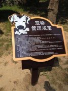 浙江宁波立法“管好宠物狗”