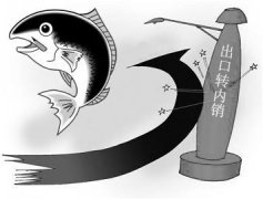 佛山海关：加大帮扶简化流程 助力出口转内销