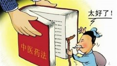 沿着中医药法治道路阔步前进