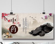 《北京市中医药条例（草案）》提交审议 营造支