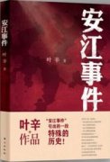 《安江事件》B