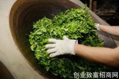 云南普洱市助力芒东村发展茶产业
