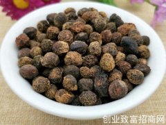 庵闾子