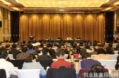 河南卫生健康工作会召开