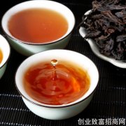 福建省制定一乌龙茶加工技术团体标准