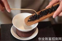 什么是茶叶的干泡法？