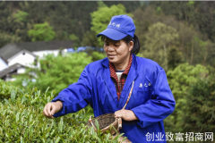 安化县渠之源茶业有限公司