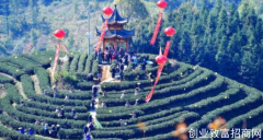 福建省政和县举办开茶节助力茶业发展