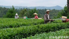 贵州平塘县机械化生产提升经济效益