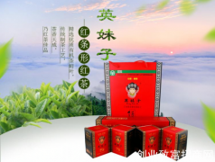 湖南茶文化研究会调研古丈英妹子茶企