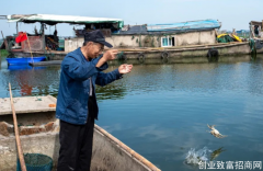 阳澄湖水下故事：洗澡蟹称王