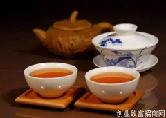 云南举办“初级茶艺师论坛”