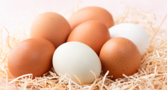 吃鸡蛋真的能降低慢病风险？