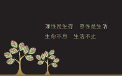 成功人士的创业励志故事