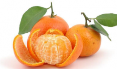 橘子不同的部位有不同的养生功效