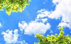 河北：深化重点工业企业污染治理 助力打赢蓝天