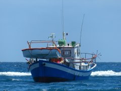 江苏省政府部署海洋渔业安全生产工作