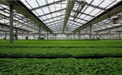 山东省对蔬菜主产区进行质量安全抽检
