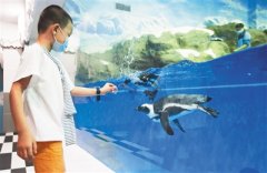 海南三亚推出近百款惠民特色产品