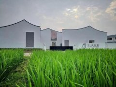 隐于上海乡间的美术馆/艺术乡建
