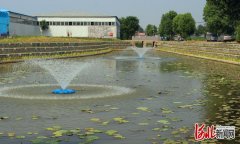 守护绿水青山 河北秦皇岛市持续深化河湖长制