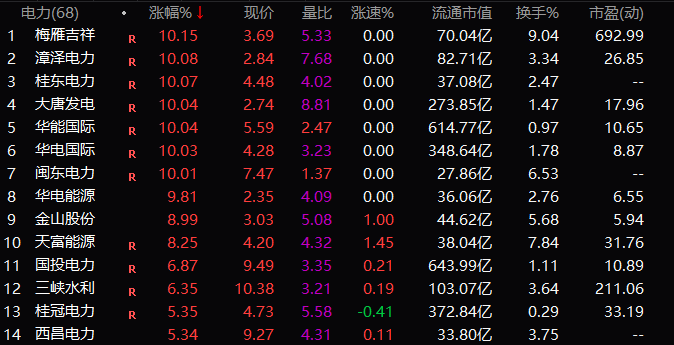 电力板块中涨幅超过5%以上个股情况