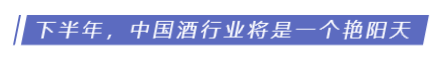 凤凰网独家|杨光:相信下半年中国酒业将是一个艳阳天