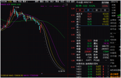 比乐视网还惨！这只股暴跌99.75%