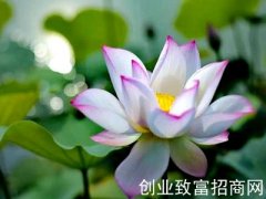 七成病由心生 “入静养生”要调身、调息、调心