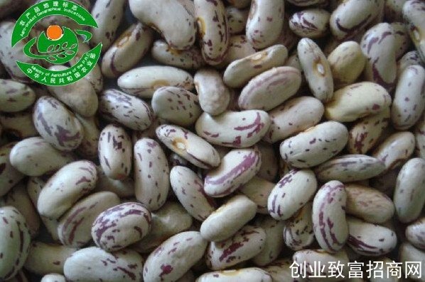 依安芸豆