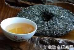 什么茶称为普洱生茶？