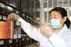 中医人坚守岗位迎新年