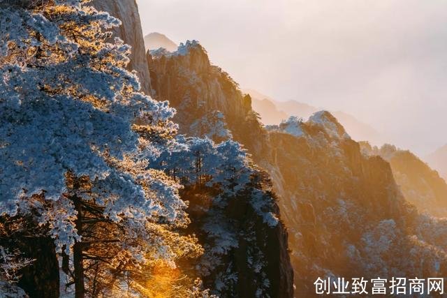 中华10大养生智慧，顺则寿，逆则亡