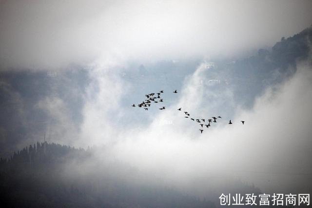 中华10大养生智慧，顺则寿，逆则亡