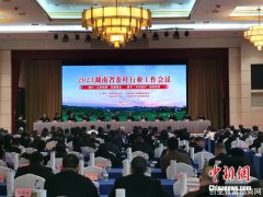 2022年湖南茶产业综合产值达1051亿元