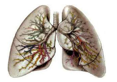 肺纤维化的中药疗法