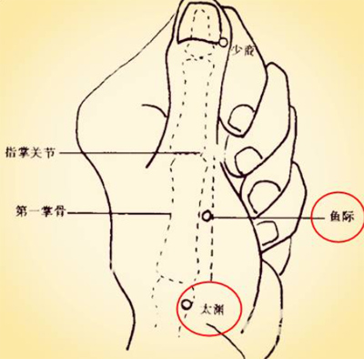 一分钟止喘鱼际穴、太渊穴