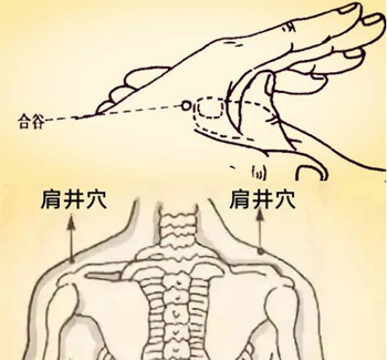 一分钟止牙痛合谷穴、肩井穴