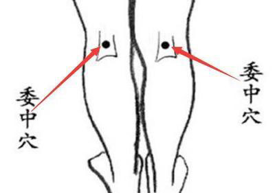 委中（足太阳膀胱经穴）