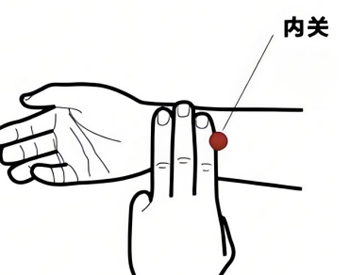 内关穴，日常预防和调理多种突发急症的穴位