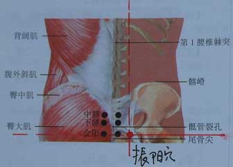 针灸治疗阳萎的方法